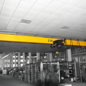 NLX European Single Girder Underhung Crane